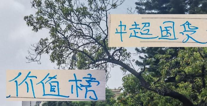 黄金甲体育-海外中超国货最新价值榜 申花球员蒋圣龙最贵 海港的莱昂纳多最值钱